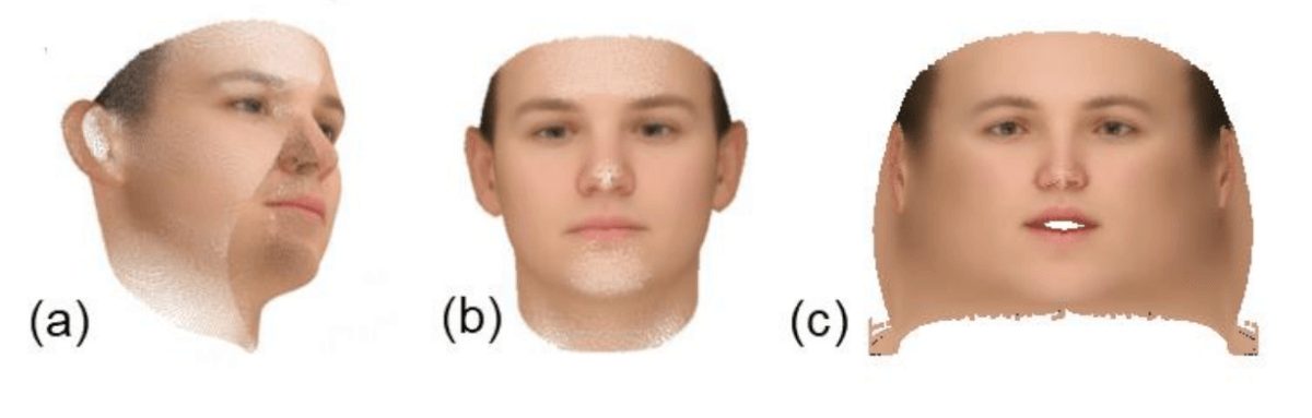 Three albedo representations. (a) Albedo value per vertex, (b) Albedo as a 2D frontal face, (c) UV space 2D unwarped albedo.