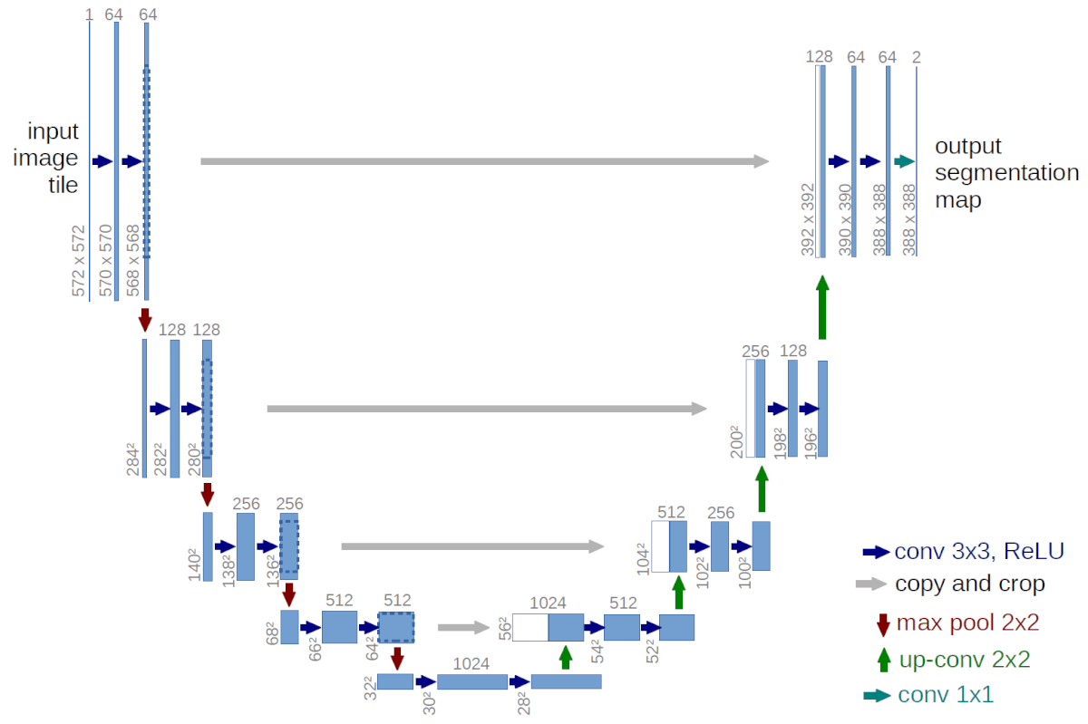 u-net architecture