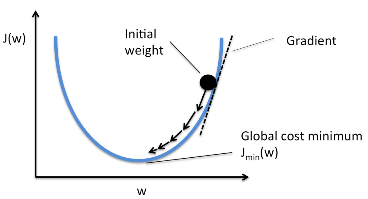 Convex cost curve J(w) with an initial weight, the gradient as a tangent line and steps toward the global cost minimum