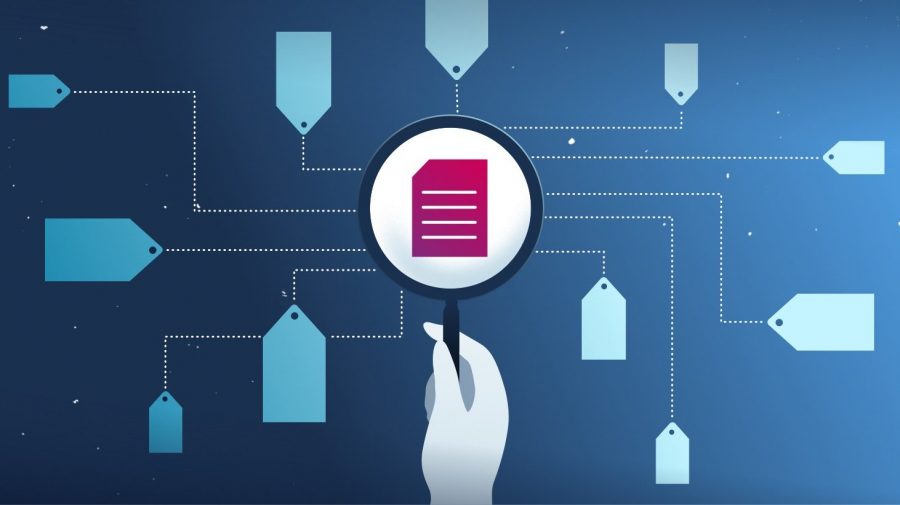 text classification EXAM