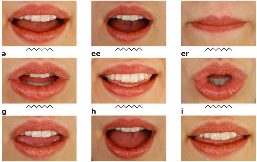 Automated lip reading software montanamaxb