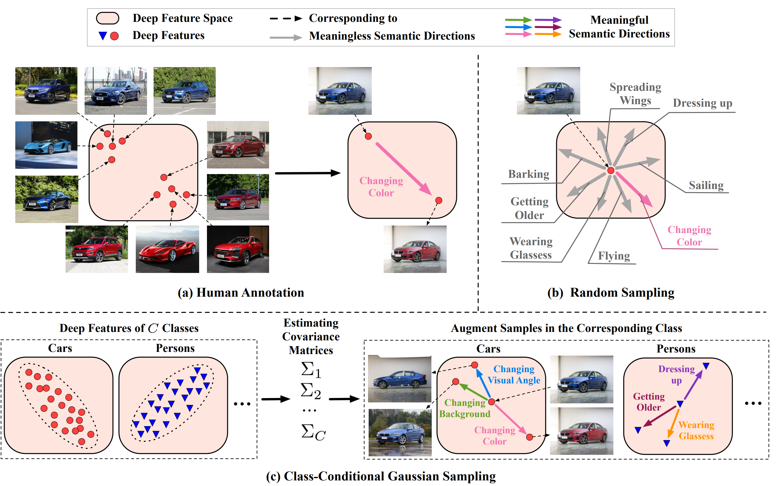 Semantic Data Augmentation Improves Neural Network's Generalization