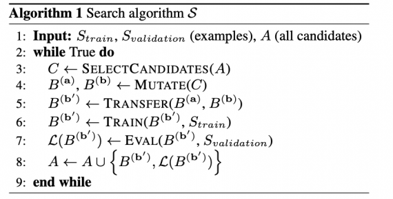 Search Algorithm Pseudocode
