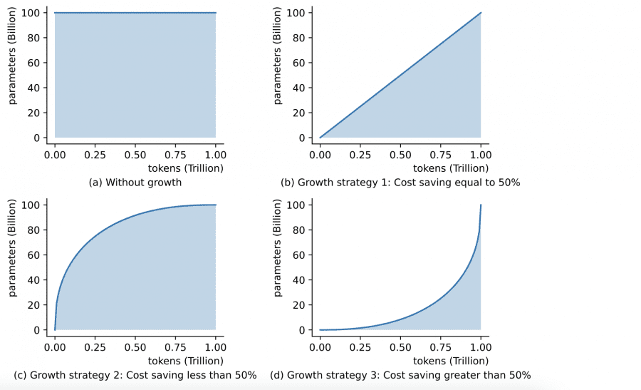 FLM 101B evaluating growth strategy