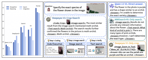 deepeyesv2-illustration