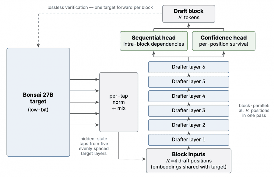 The DSpark drafter used in this release.