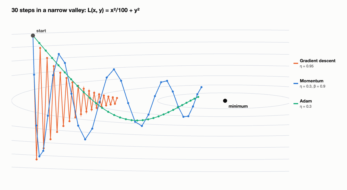 Contour plot of a narrow valley with 30 optimization steps: plain gradient descent zigzags near the start while momentum and Adam travel most of the way to the minimum